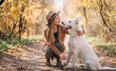 El vínculo emocional que se forma entre mujeres y perros en este tipo de relaciones. La relación entre dueños y mascotas en general, y entre mujeres y perros en particular, es conocida por ser estrecha y emocionalmente valiosa. Los perros son animales leales, afectuosos y empáticos, que pueden brindar compañía, consuelo y …